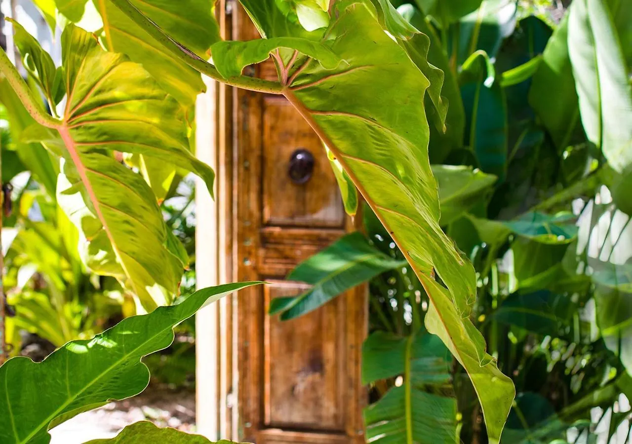Parrot Key Hotel & Villas Key West United States